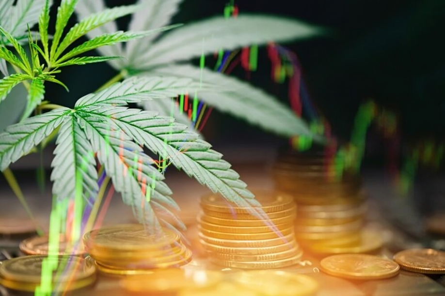 Why CBD Wholesale is a Smart Investment for E-Commerce Entrepreneurs