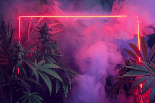 CBD Flower Extraction Methods: What Retailers Should Know - Tonic Vault