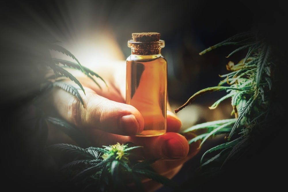 Certified Hemp Seed in the UK: Ensuring Quality, Compliance, and Genetic Excellence - Tonic Vault