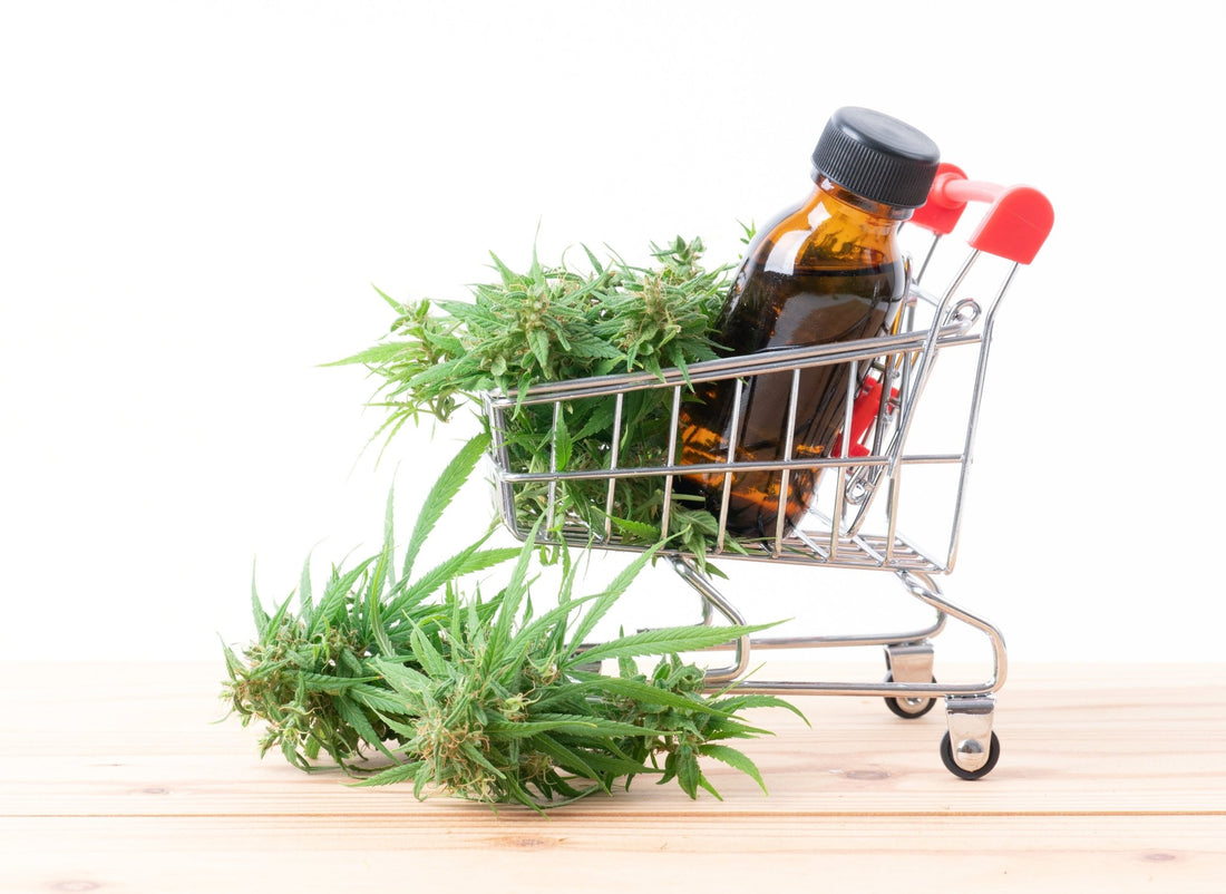 Does Smoking Hemp Get You High? - Tonic Vault