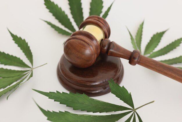 FSA soon to authorise CBD Products in the UK - Tonic Vault