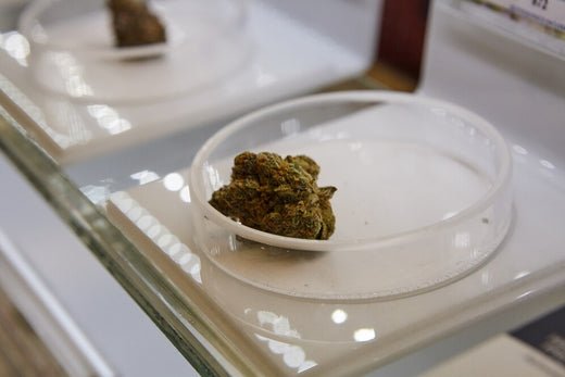 How CBD Hash complements other CBD Products in the UK market - Tonic Vault