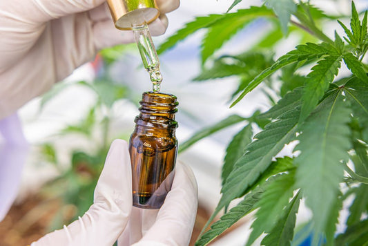 How to Incorporate CBD into Your Daily Wellness Routine: Enhancing Balance, Wellbeing, and Quality of Life - Tonic Vault