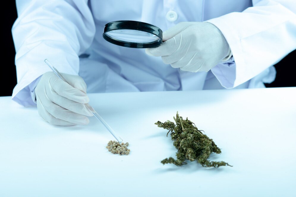 The UK's first approved CBD products anticipated by spring 2025 - Tonic Vault