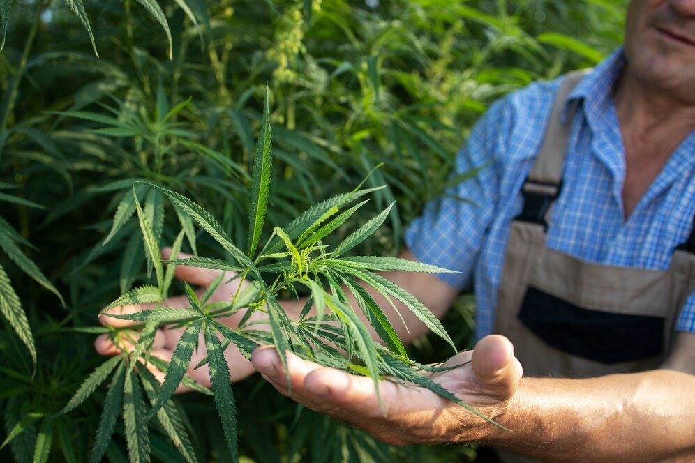 Why Tonic Vault CBD Products are perfect for wholesale buyers - Tonic Vault