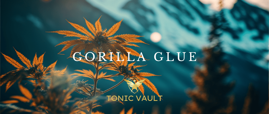 CBD Gorilla Glue Strain Selection - Tonic Vault