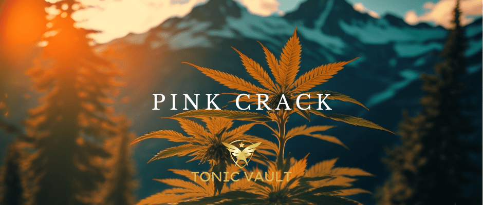 CBD Pink Crack Strain Selection - Tonic Vault
