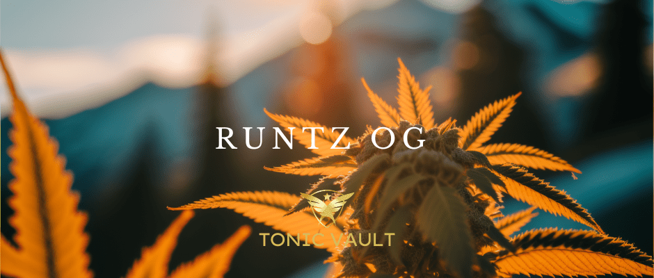 CBD Runtz OG Strain Selection - Tonic Vault