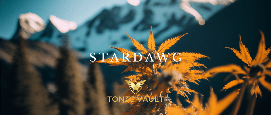 CBD Star Dawg Strain Selection - Tonic Vault