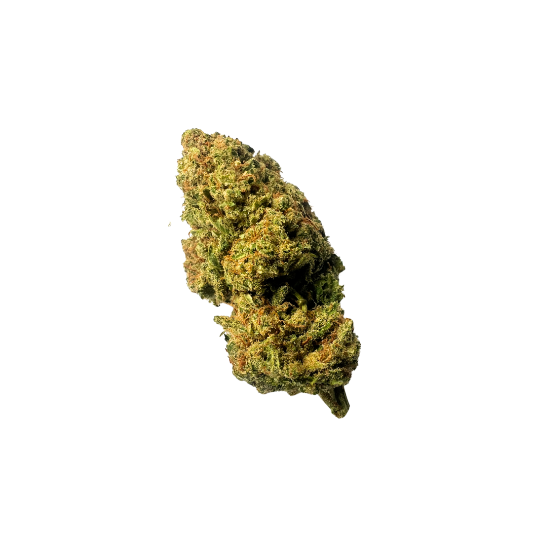 August Harvest bundle