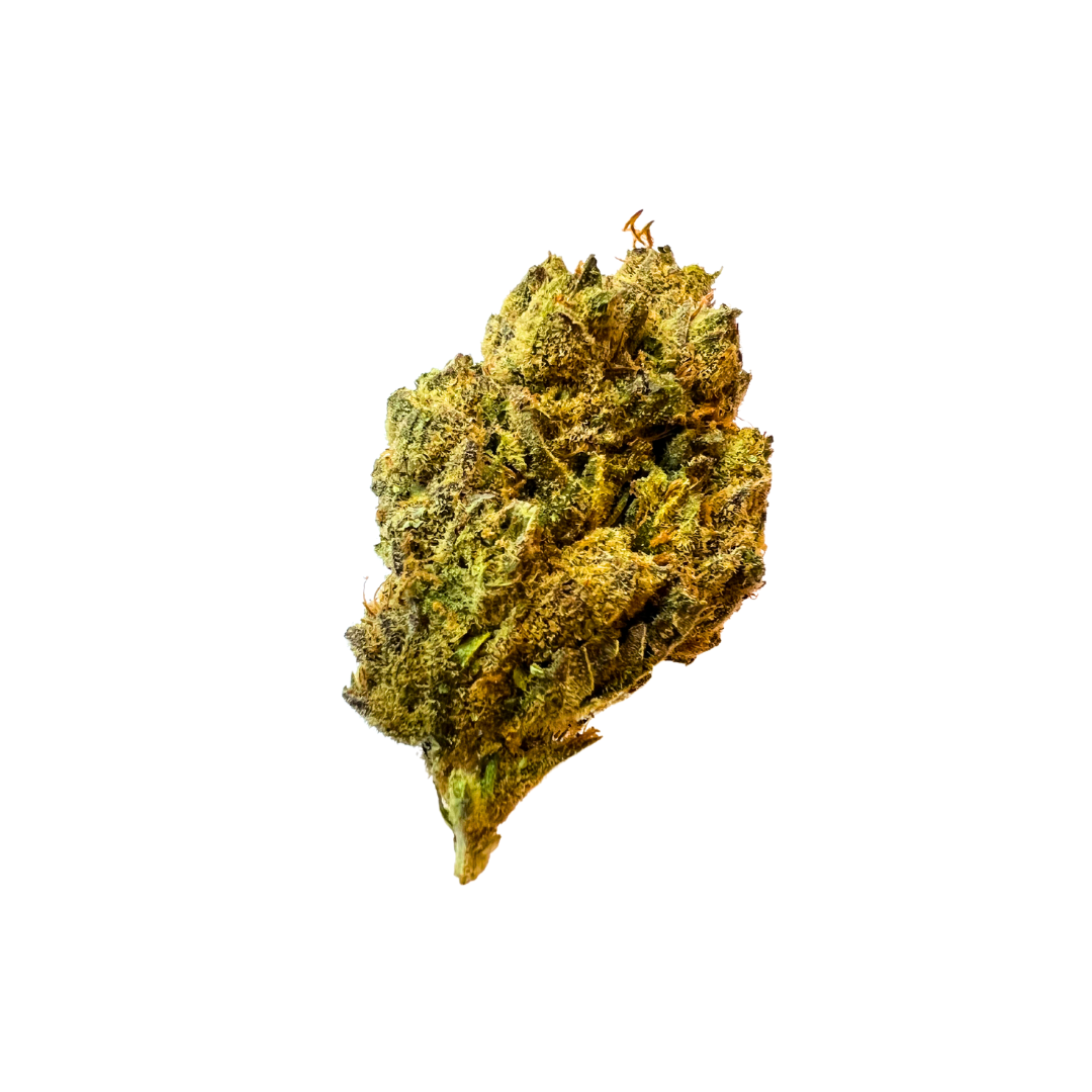August Harvest bundle