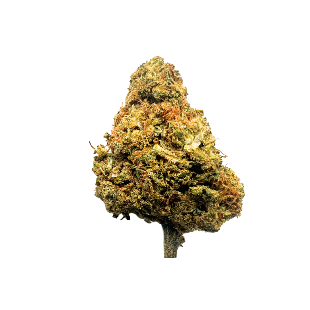 CBD FLOWER Mango Express - 22%CBD