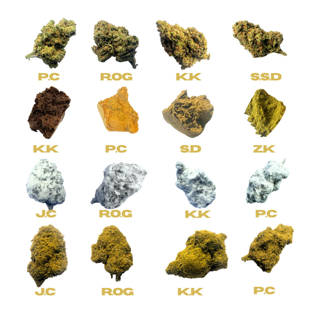 Pack Em all CBD Bundle