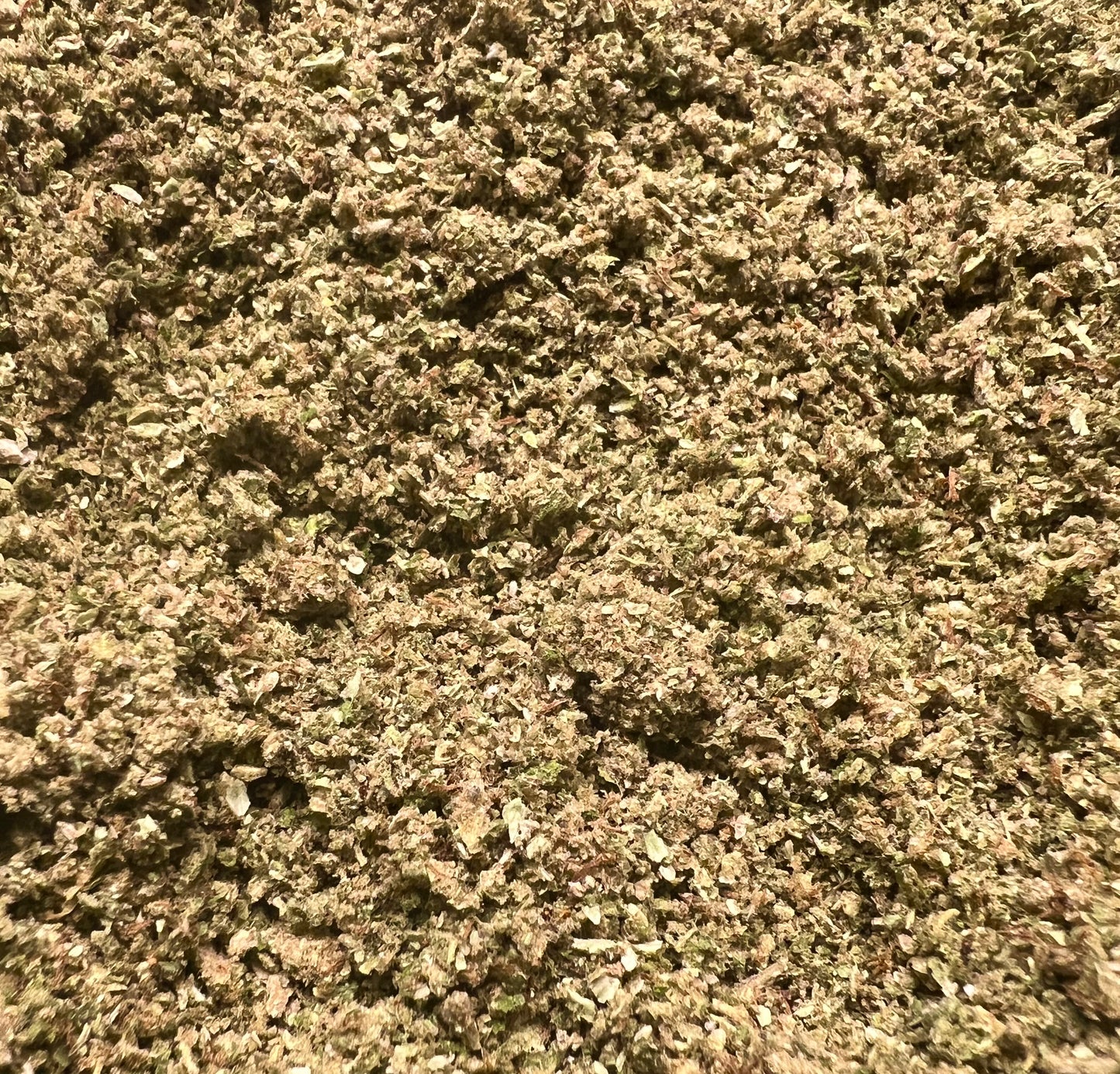 PRE ROLL - Runtz OG 26% CBD King Size Pre Roll Cone