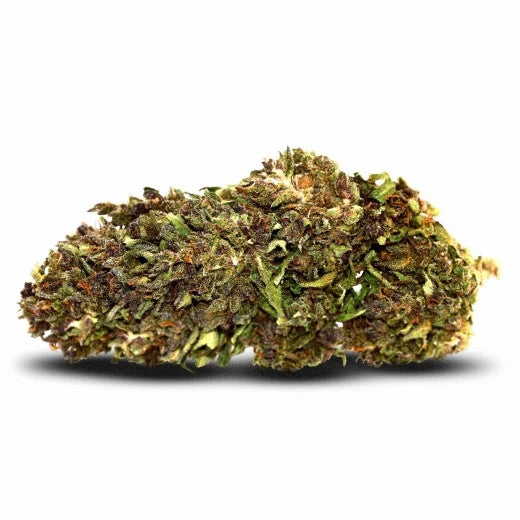 Northern Light - 15% CBD