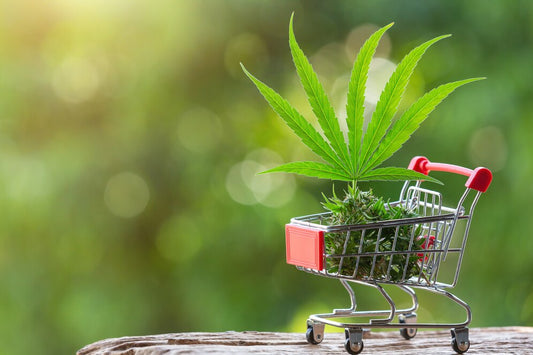 CBD Delivery: 10 good reasons to buy your CBD online in the UK