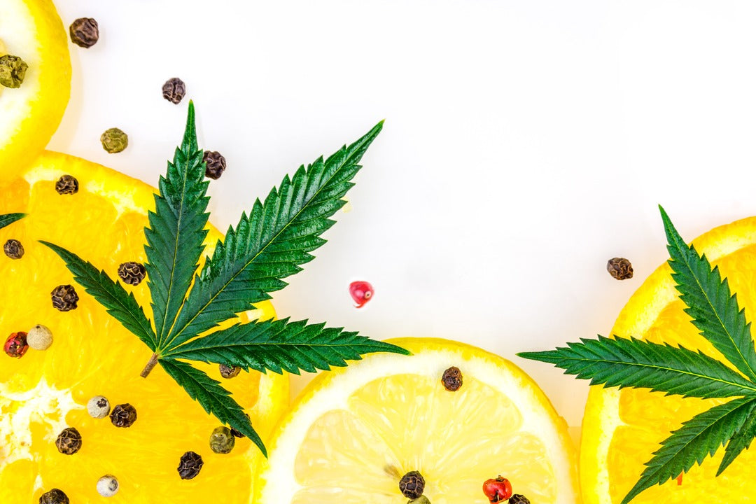How Do Terpenes and CBD Flower Work Together?