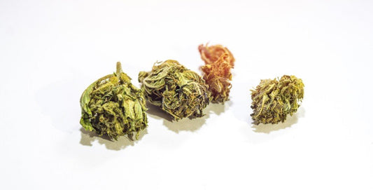 BUY CBD BUDS ONLINE IN THE UK - Tonic Vault