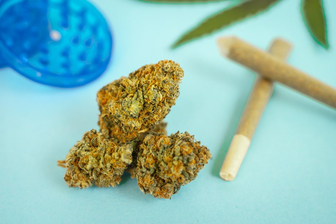 Can You Smoke Hemp CBD? - Tonic Vault