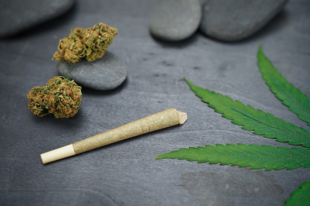 CBD for Concentration: Can CBD Help You to Focus? - Tonic Vault