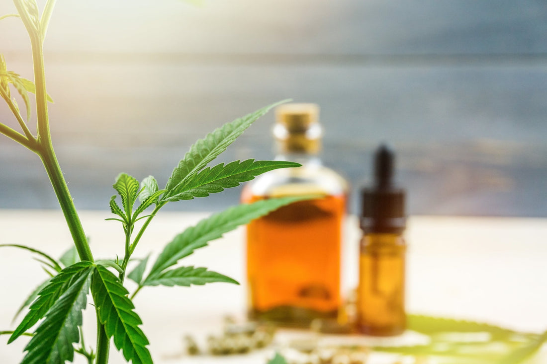 How Much CBD Oil Should I Take? - Tonic Vault