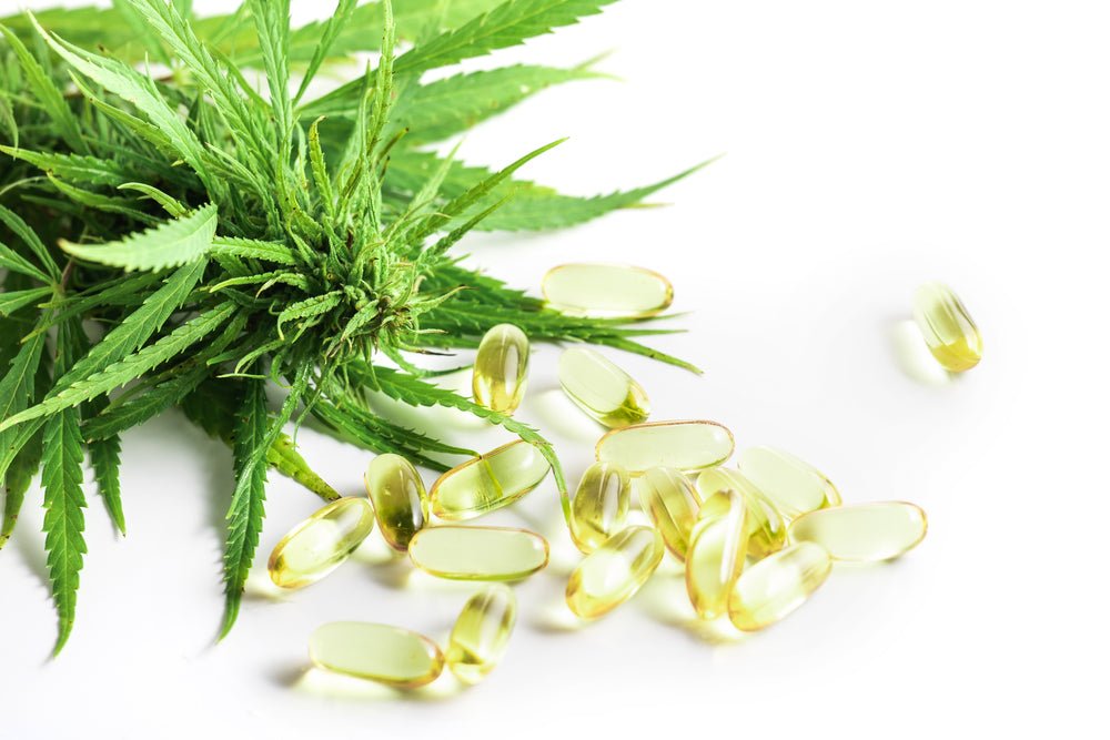The Difference Between CBD and THC: Exploring Hemp Flower in the UK - Tonic Vault