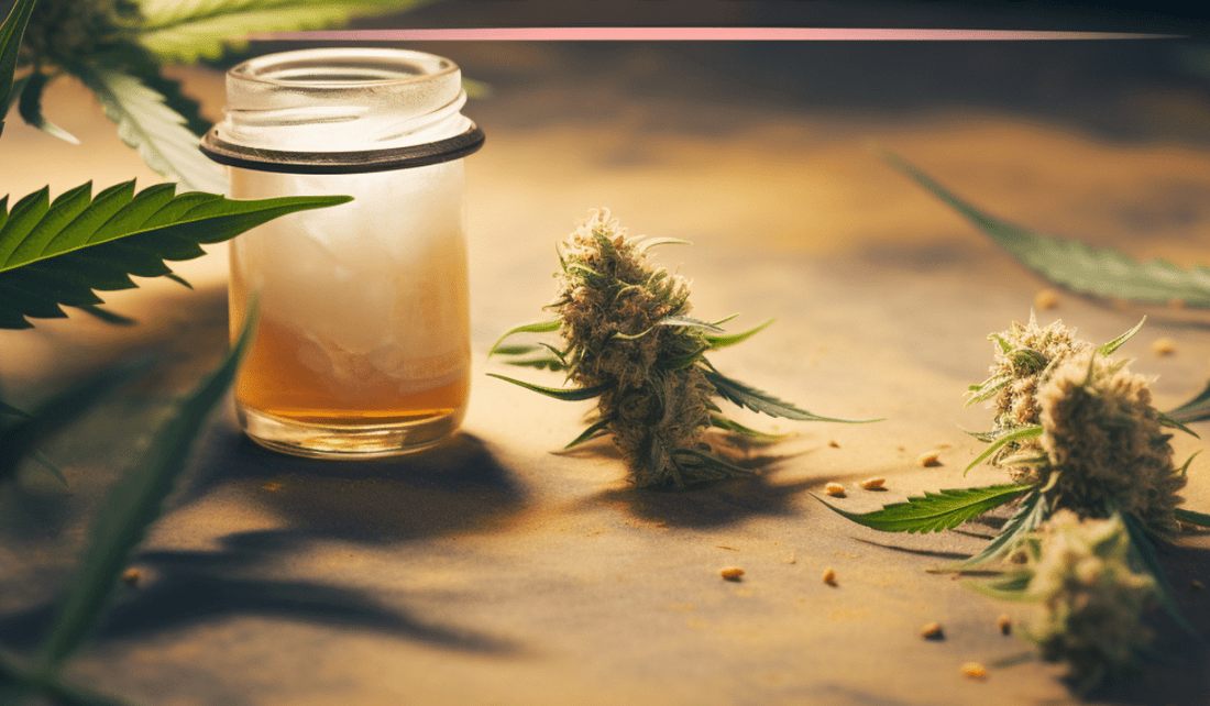 Unleashing the Versatility and Benefits of CBD Weed - Tonic Vault