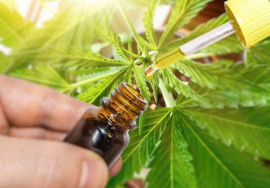 What’s the Best Time of Day to Take CBD Oil? - Tonic Vault