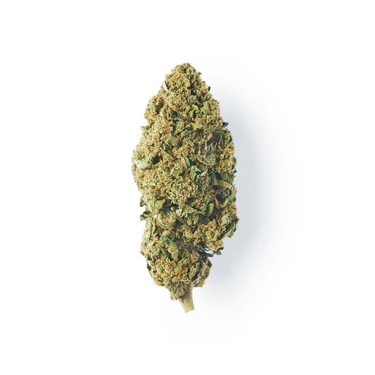 CBD FLOWER Papaya - 16% CBD ( Green House )