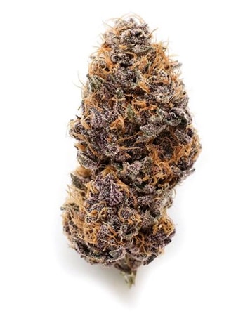 CBD Flower Purple Punch - 15% CBD ( Green House )