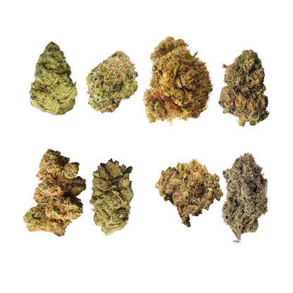 EU - Premium Indoor CBD Flower Sampler Pack ( Europe Dispatch )