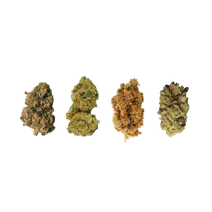 14g Premium Indoor CBD Flower Variety Pack