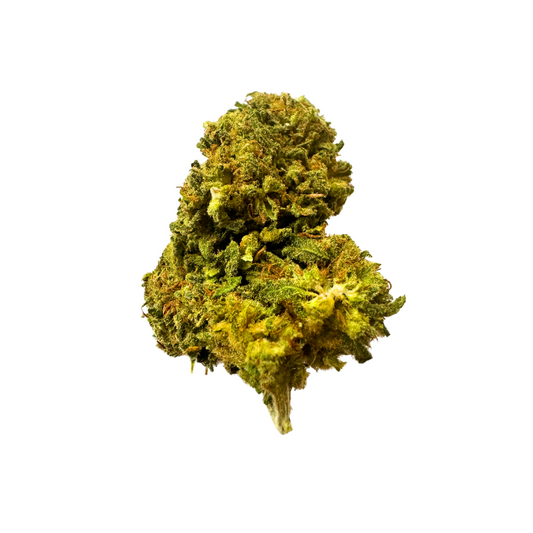 CBD FLOWER tea - Goliath - 20% CBD ( Green house )
