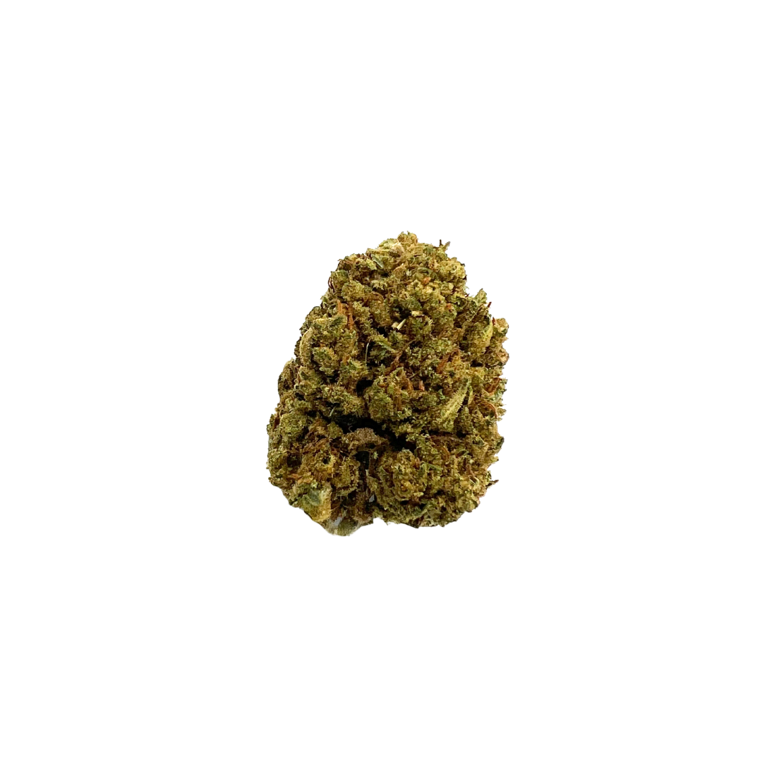 CBD flower - Harlequin strain: A balanced and therapeutic CBD bud with a calming effect. Order high-quality Harlequin CBD flowers online.